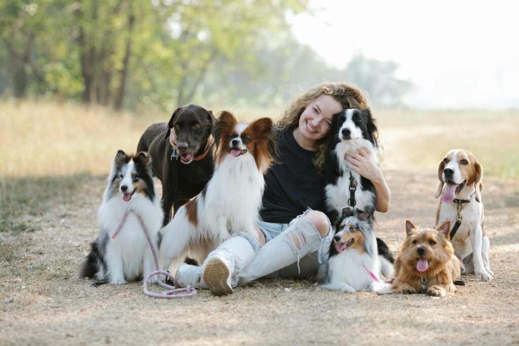 A cheerful woman sitting with various dog breeds in a sunny park, showcasing companionship.
Best Dog Breeds
