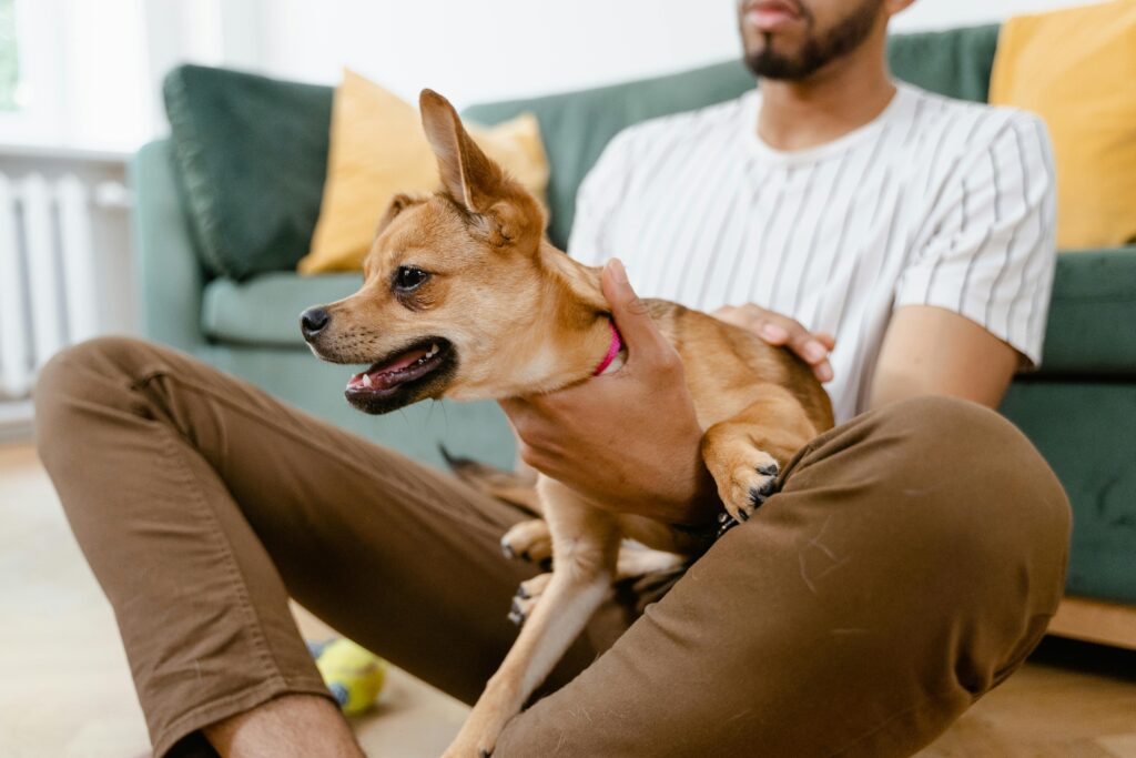 A man holding a chihuahua dog while sitting on the floor indoors.